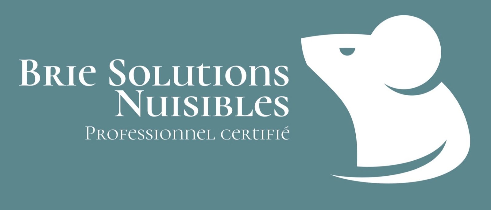 Logo brie solutions nuisibles